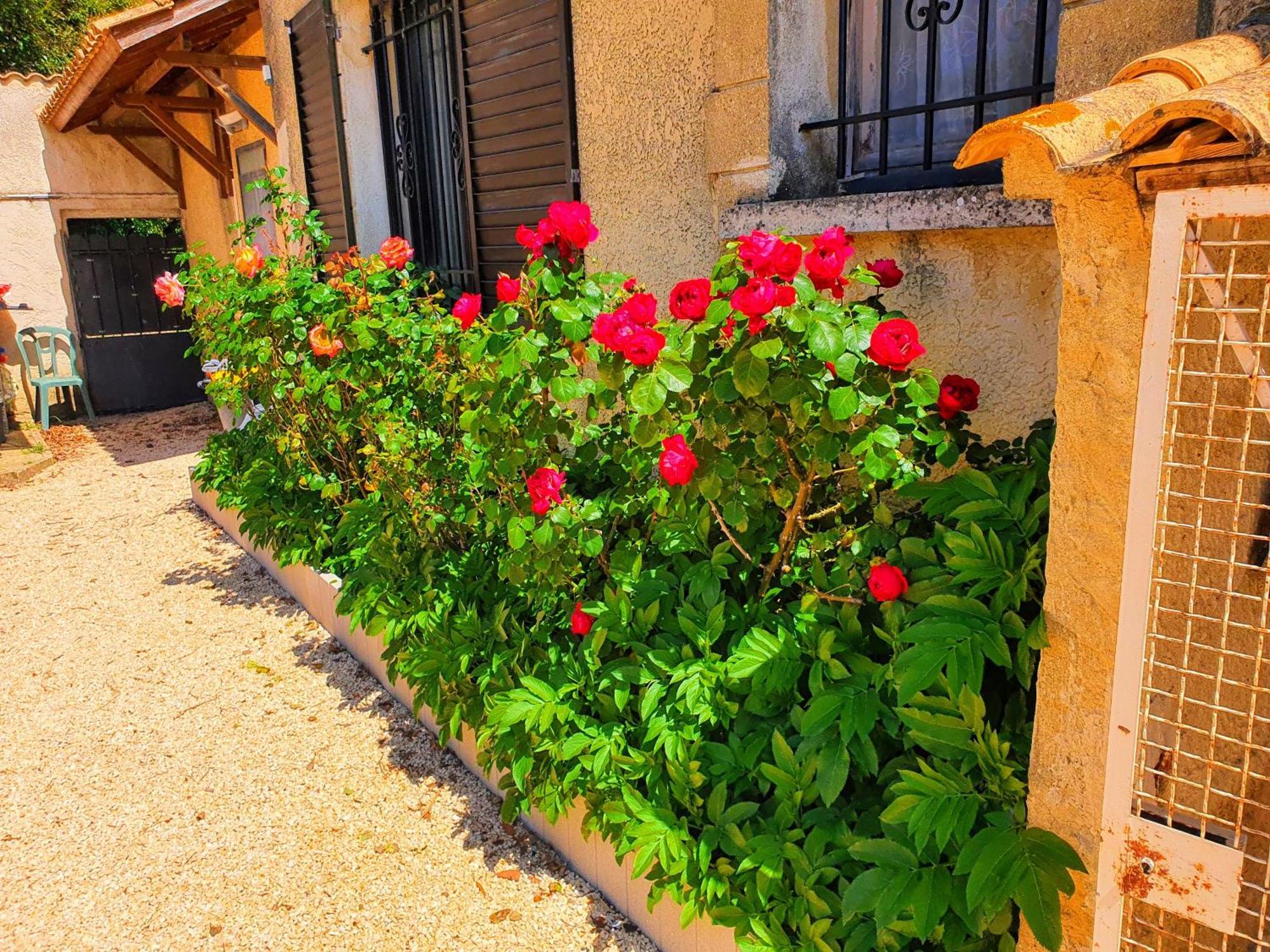 Apartamento Cadre D'Exception Orange  Exterior foto